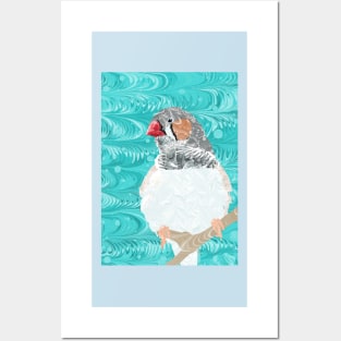 Zebra Finch Posters and Art